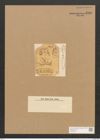 Schizonema divergens W. Sm. (de-Toni-Nr.: Genus 20, Species 1182) Zeichnungen Sammlung Grunow Nr. 2282 (NHMW-BOT-W0369402)